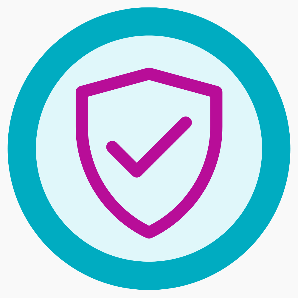 sdan icon